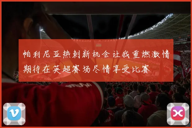 帕利尼亚热刺新机会让我重燃激情期待在英超赛场尽情享受比赛
