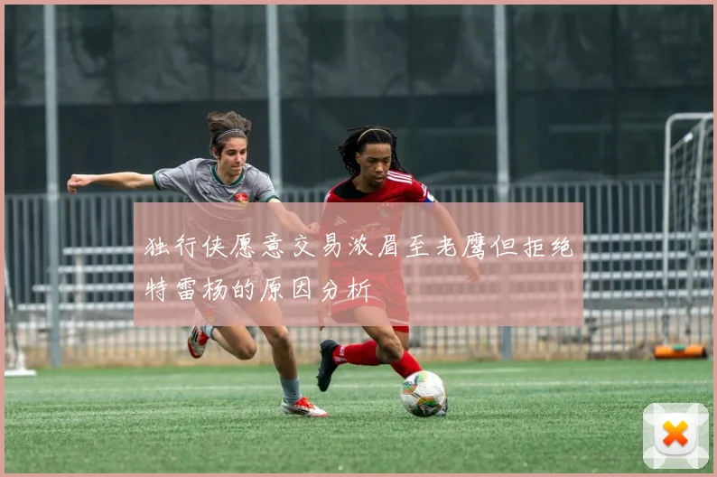 独行侠愿意交易浓眉至老鹰但拒绝特雷杨的原因分析