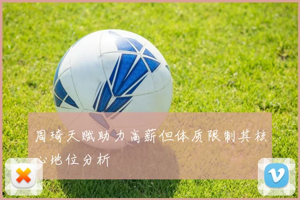 周琦天赋助力高薪但体质限制其核心地位分析